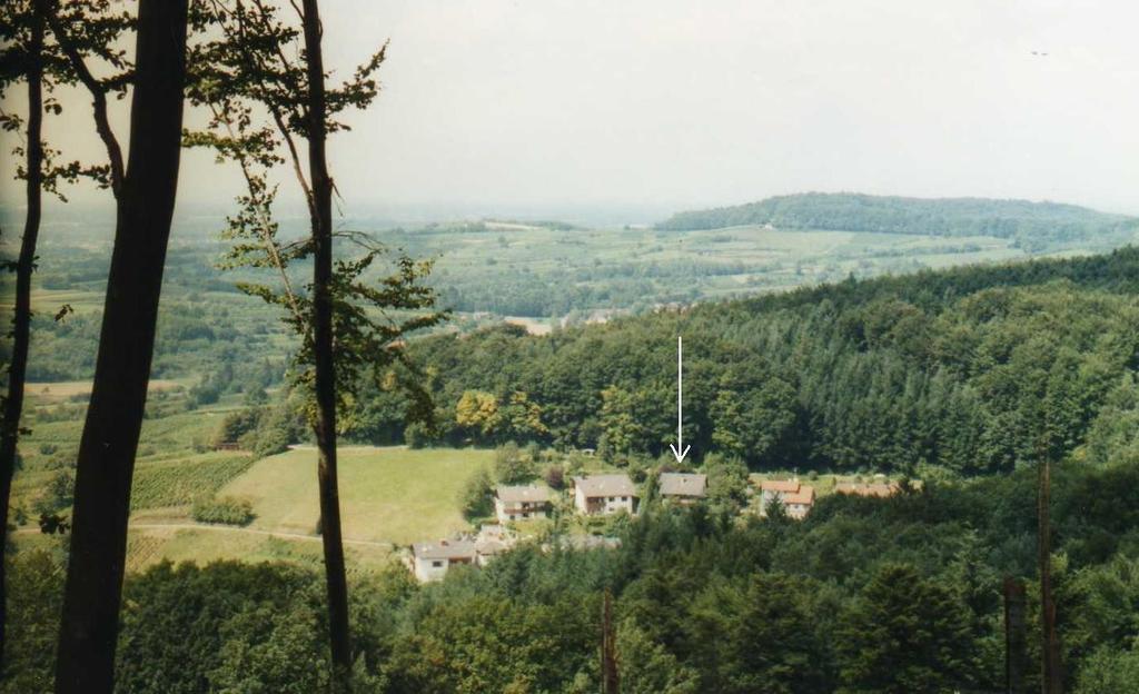 Ferienwohnung Unterschuetz Ettenheim Kültér fotó